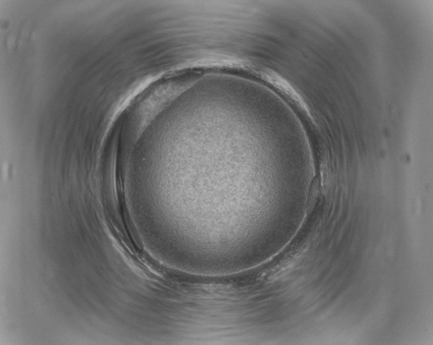 X0000066970436200603271212