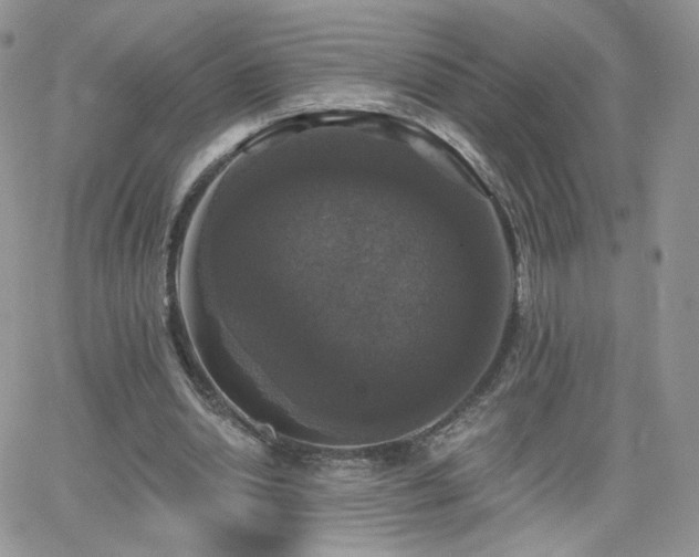 X0000066970438200603271212