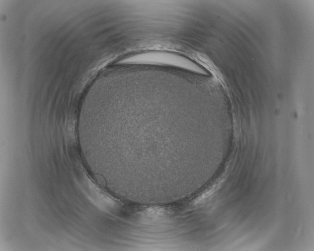 X0000066970441200603271212