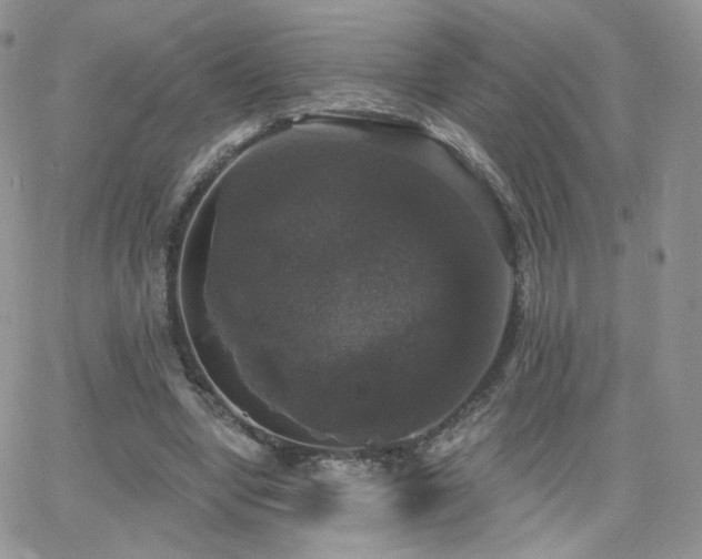 X0000066970442200603271212