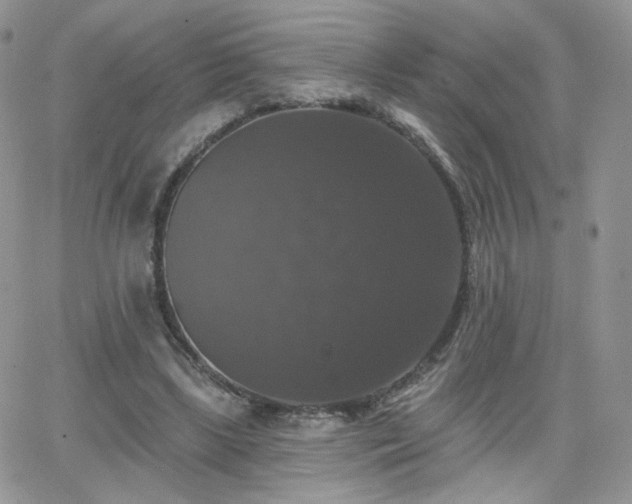 X0000066970443200603271212