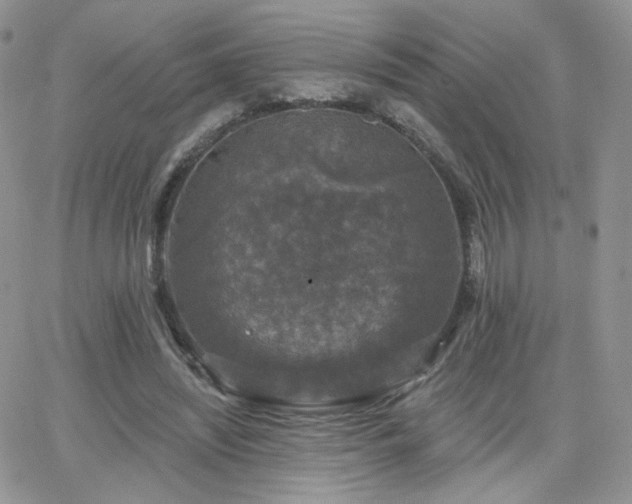 X0000066970444200603271212