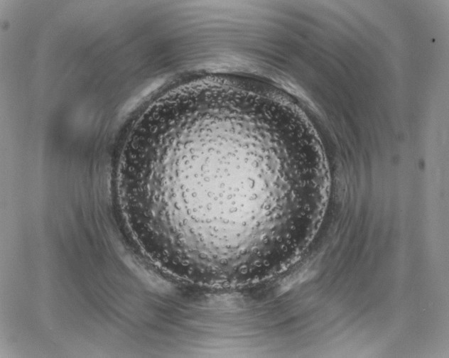 X0000066970446200603271212