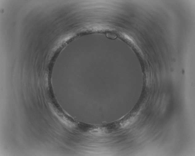 X0000066970447200603271212