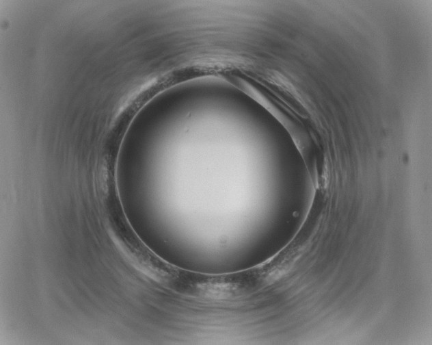 X0000066970448200603271212