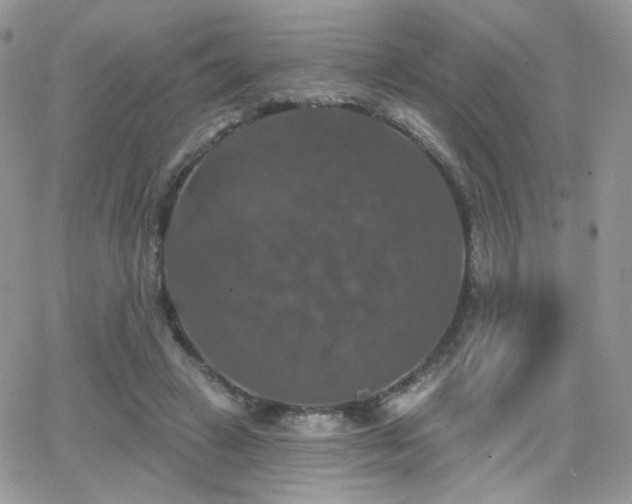 X0000066970449200603271212