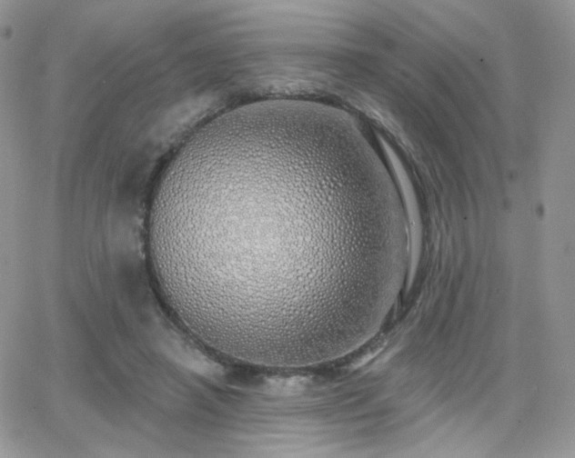 X0000066970450200603271212