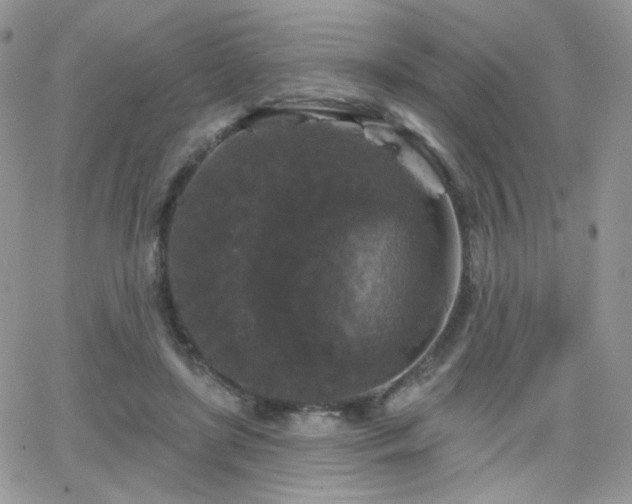 X0000066970451200603271212