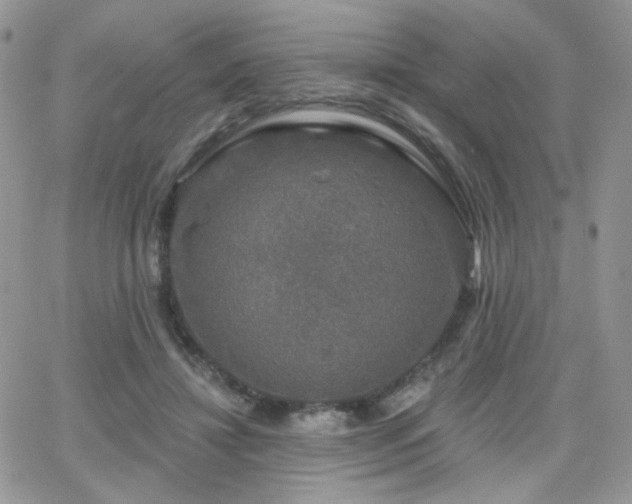 X0000066970452200603271212