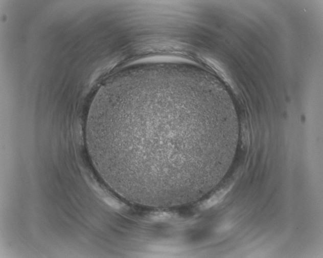 X0000066970453200603271212