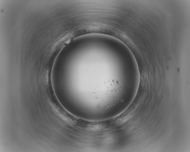 X0000066970454200603271212