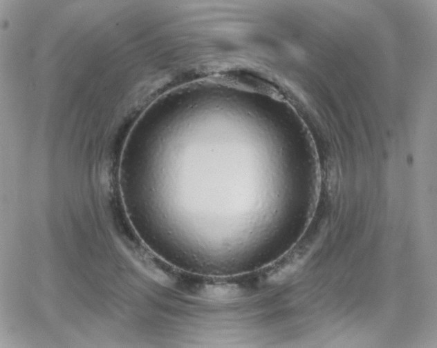 X0000066970455200603271212