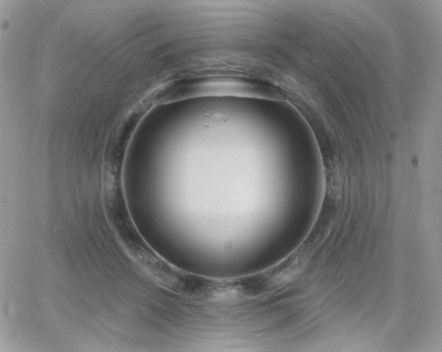 X0000066970456200603271212