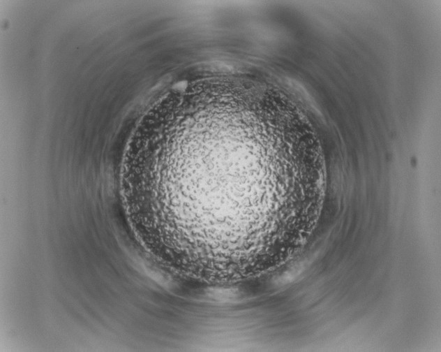 X0000066970457200603271212