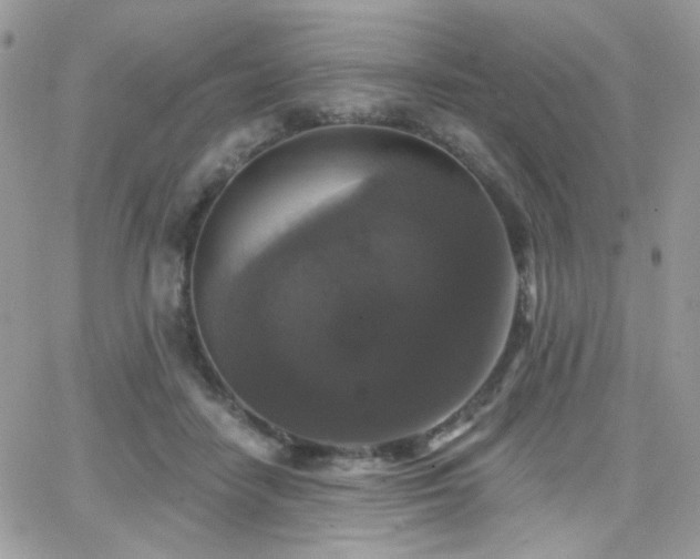 X0000066970458200603271212