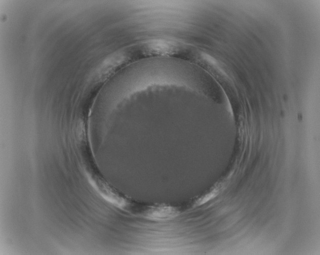 X0000066970459200603271212