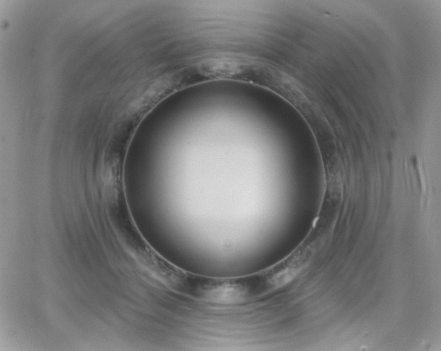 X0000066970460200603271212