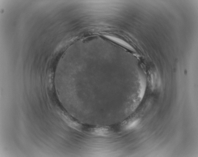 X0000066970462200603271212