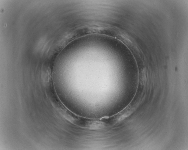 X0000066970463200603271212