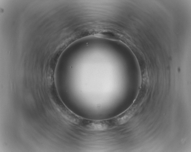 X0000066970464200603271212