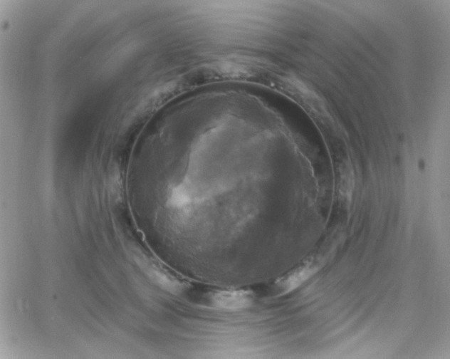 X0000066970465200603271212