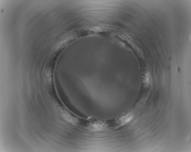 X0000066970466200603271212