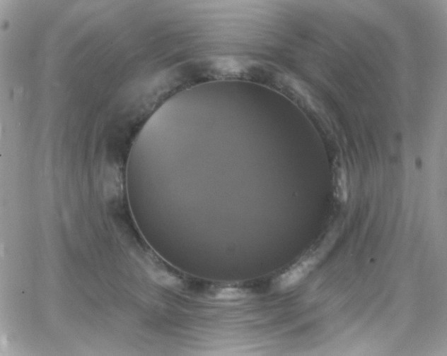 X0000066970467200603271212