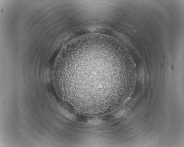 X0000066970470200603271212