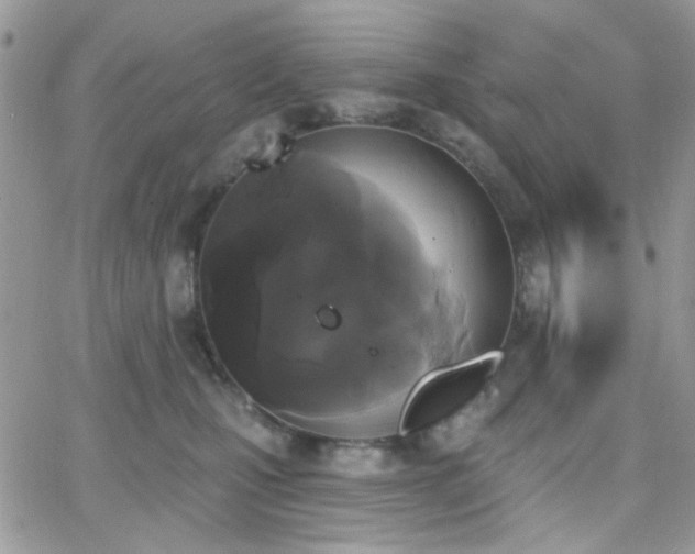 X0000066970471200603271212