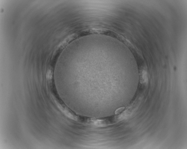 X0000066970472200603271213