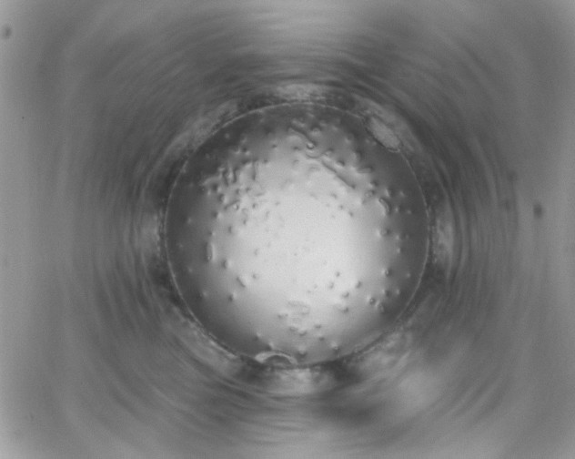 X0000066970473200603271213