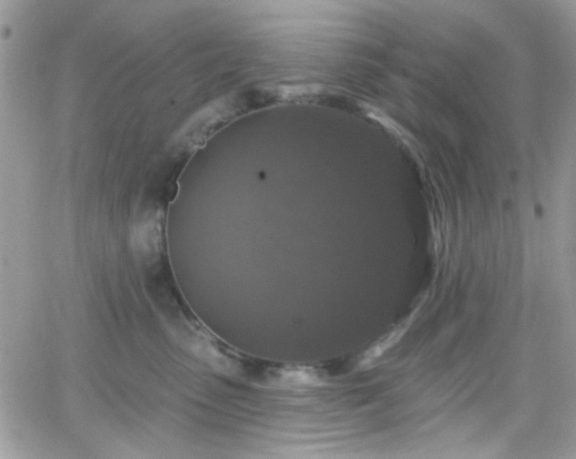 X0000066970475200603271213