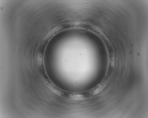 X0000066970476200603271213