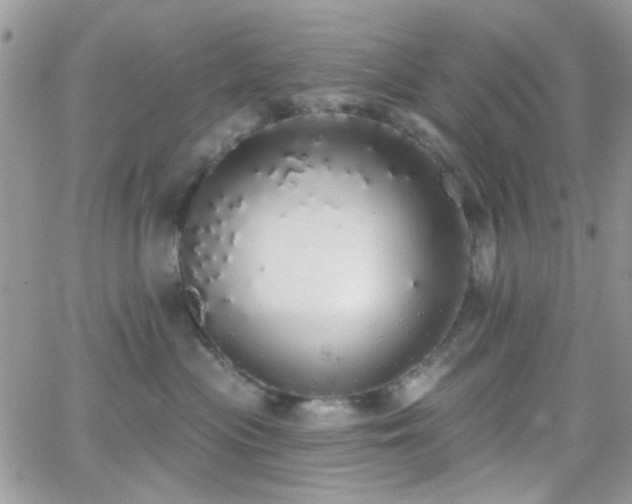 X0000066970477200603271213