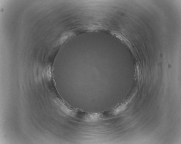 X0000066970479200603271213