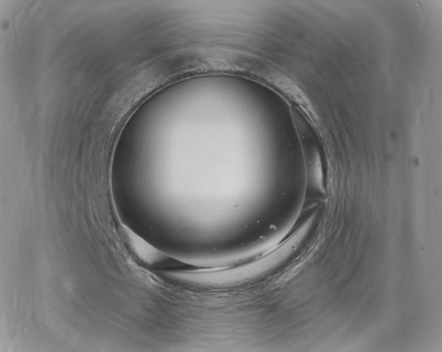 X0000066970481200603271212