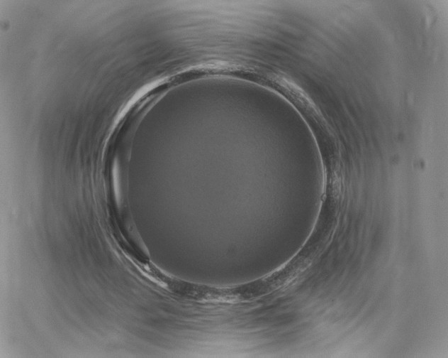 X0000066970484200603271212