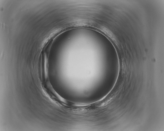 X0000066970485200603271212