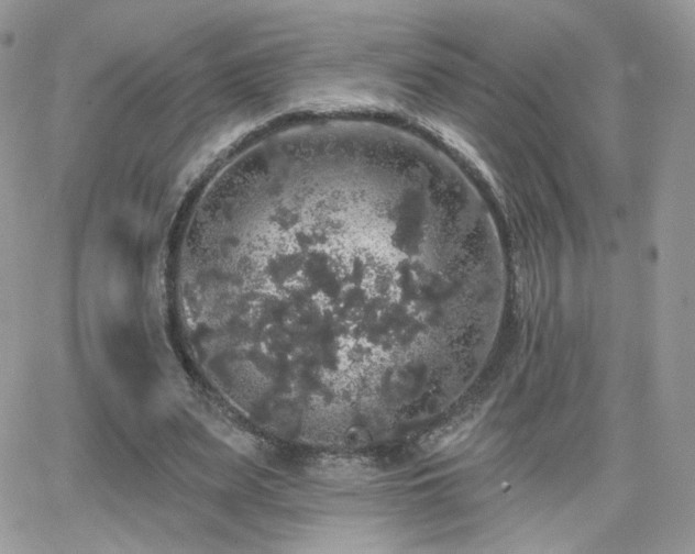 X0000066970487200603271212