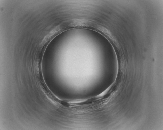 X0000066970489200603271212