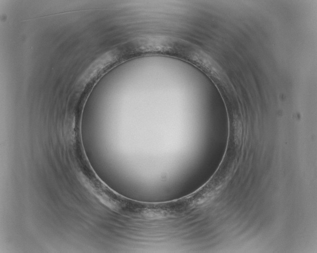 X0000066970490200603271212