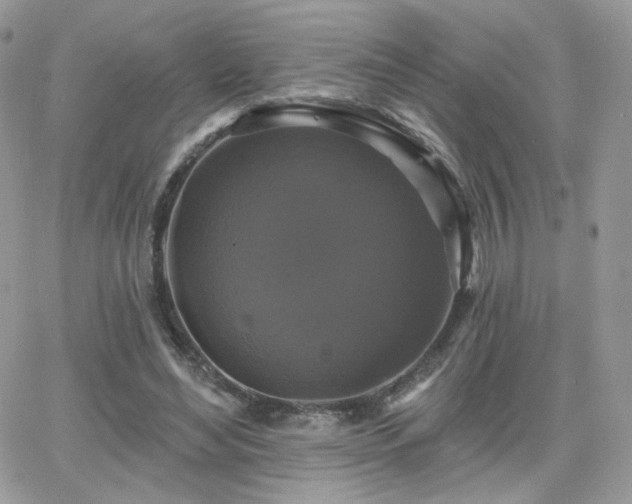 X0000066970492200603271212