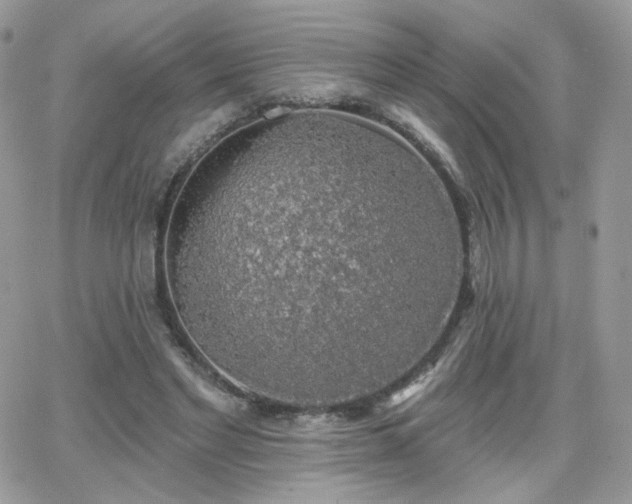 X0000066970493200603271212