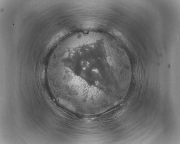 X0000066970495200603271212