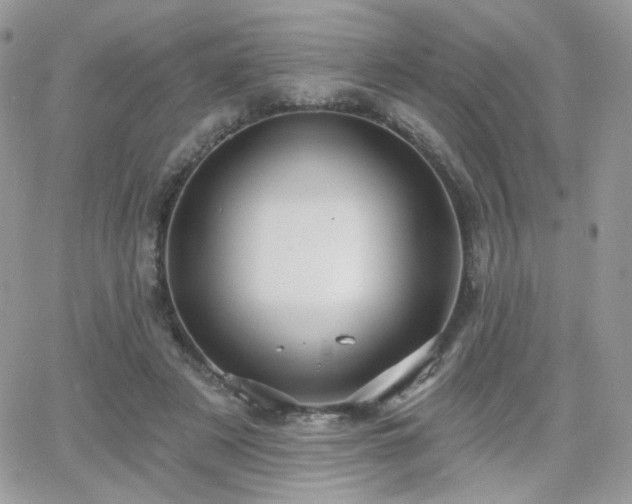 X0000066970497200603271212