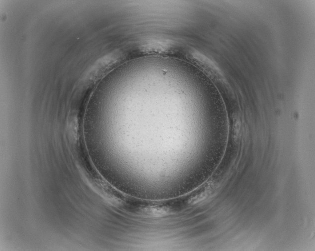 X0000066970498200603271212