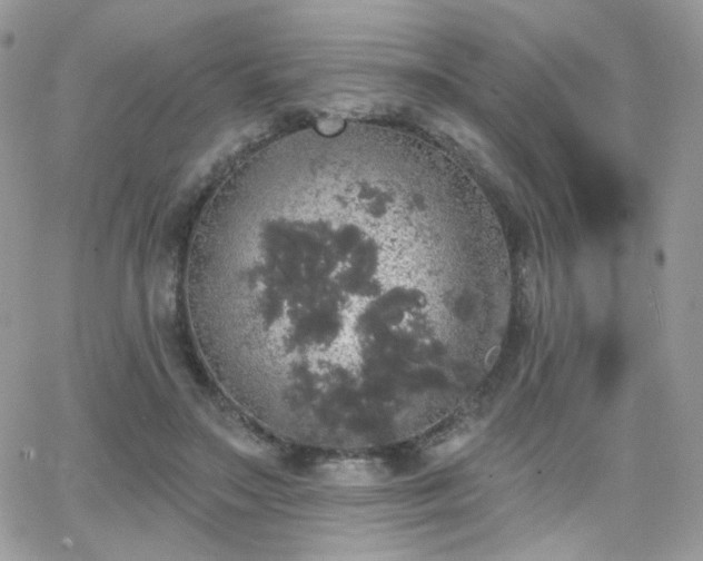 X0000066970499200603271212