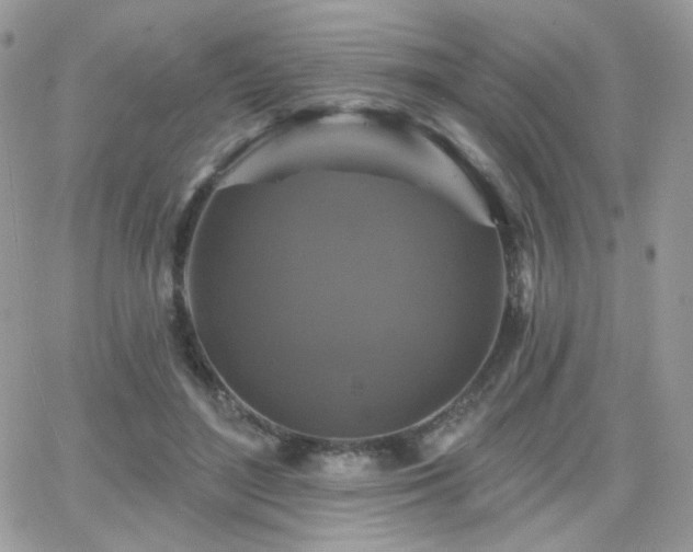 X0000066970500200603271212