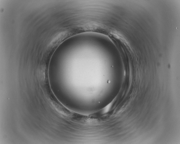 X0000066970501200603271212