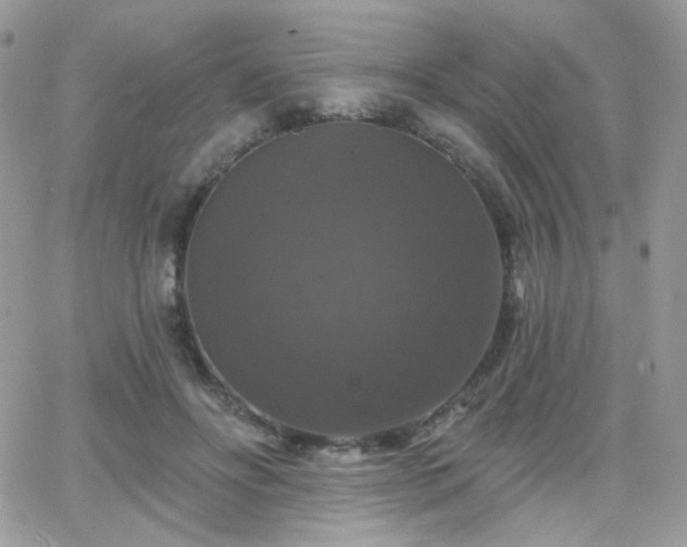 X0000066970502200603271212